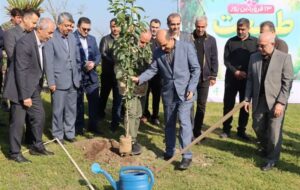 سهم استان گیلان از طرح ملی «یک میلیارد نهال» محقق شد