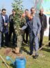 سهم استان گیلان از طرح ملی «یک میلیارد نهال» محقق شد