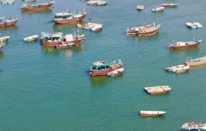 صیادان بوشهر؛ نگهبانان بی‌صدای خلیج فارس در روزهای التهاب و جنگ