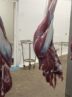 عرضه بیش از 5600 تن گوشت مرغ گرم در هرمزگان از ابتدای سال