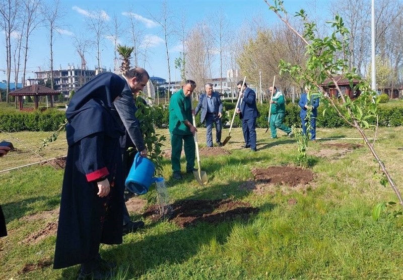 روز درختکاری , منطقه آزاد انزلی , اخبار بندرانزلی , 