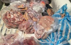 معدوم‌سازی 10 تن موادغذایی فاسد در گلستان/32واحد متخلف پلمب شد