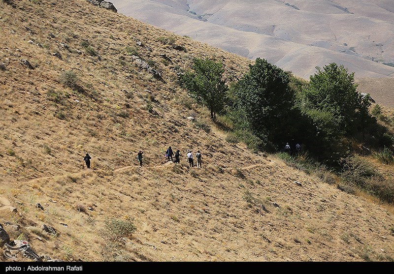 اخبار استان همدان , اخبار ملایر , 