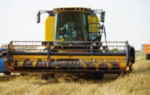 پیش‌بینی برداشت 2 هزار تن گندم از مزارع بستک