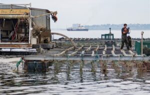 گزارش|پیشروی آبزی‌پروری در سمنان؛ رشد تولید میامی و توسعه طرح‌های نوین