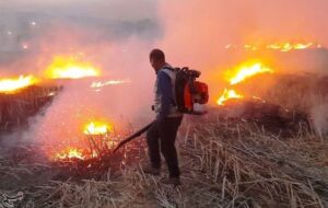 تشکیل 350 پرونده قضایی برای آتش‌سوزی در مزارع خوزستان