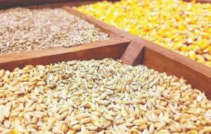 توزیع بیش از 146 هزار تن نهاده دام و طیور در قزوین