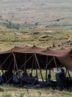 جامعه عشایری می‌توانند ایران را از واردات گوشت قرمز بی‌نیاز کنند