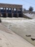 جرقه حیات در دل خشکسالی سیستان/آغاز جریان آب از افغانستان به زهک