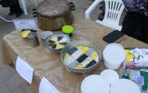جشنواره غذای ایرانی در باغ جهانی اکبریه بیرجند برگزار شد