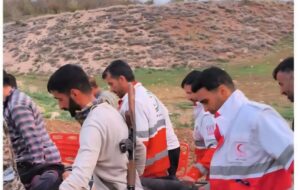 حمله خرس به کوهنورد 36 ساله در ارتفاعات ونک