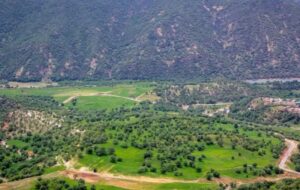 شناسایی 77 هزار هکتار ذخیره‌گاه جنگلی در لرستان