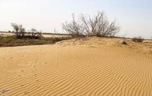 هشدار درباره گسترش بیابان در همدان؛ لزوم اصلاح الگوی کشت