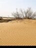 هشدار درباره گسترش بیابان در همدان؛ لزوم اصلاح الگوی کشت