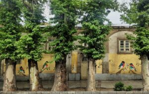 چنارهای همدان زیر چتر درمان علمی؛ آغاز هویت‌سازی برای میراث سبز شهر