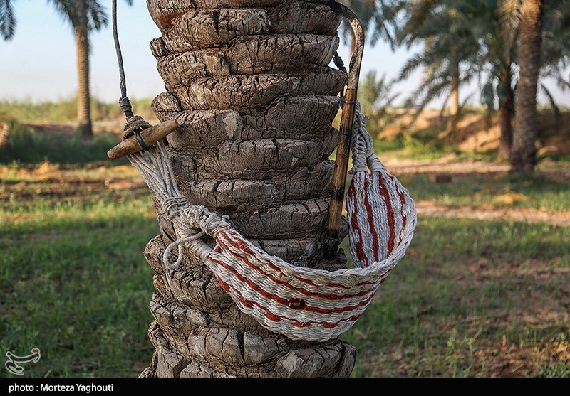 اخبار سراوان , اخبار بلوچستان , 