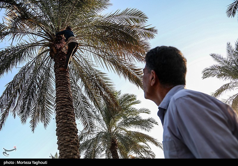 اخبار سراوان , اخبار بلوچستان , 