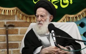 آیت‌الله شبیری زنجانی: با همراهی مردم و‌عنایت خداوند مشکلات حل می‌شود