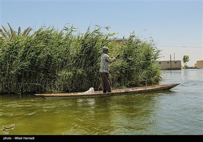 تالاب فیروزه‌ای؛ ونیز ایران در جنوب خوزستان