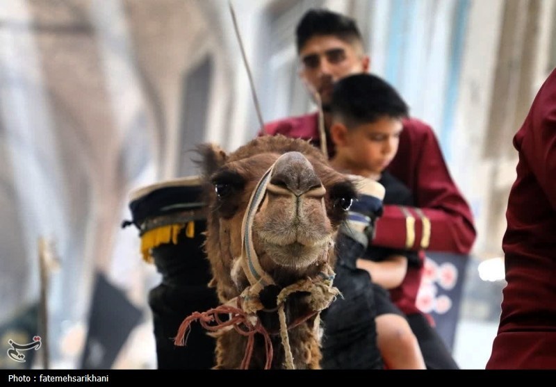 اخبار اراک , تعزیه , حسینیه تسنیم , 