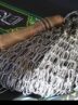 دوباره محرم، دوباره روضه