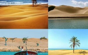 سفر به گنج پنهان مکران/ قصه عاشقانه کویر و اقیانوس در جنوب ایران