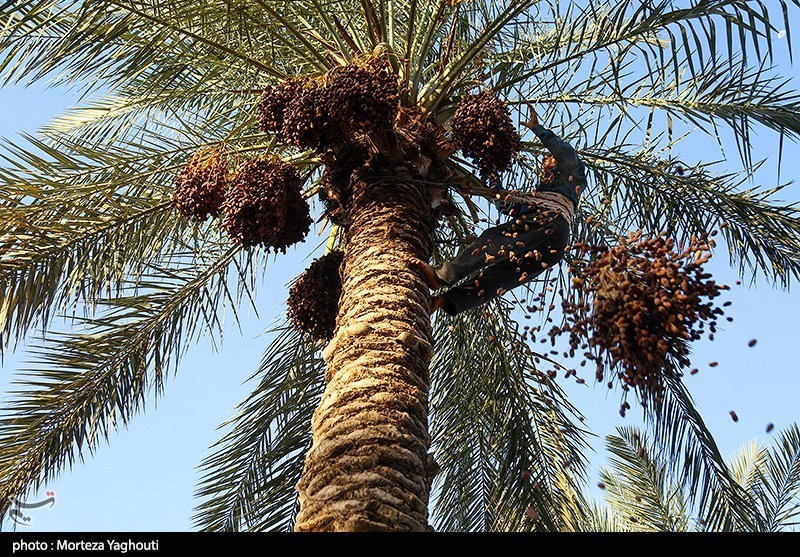 اخبار بلوچستان , 
