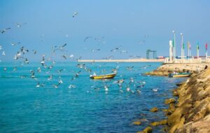 سواحل استان بوشهر مواج و متلاطم است/دمای هوا در بوشهر 47 درجه