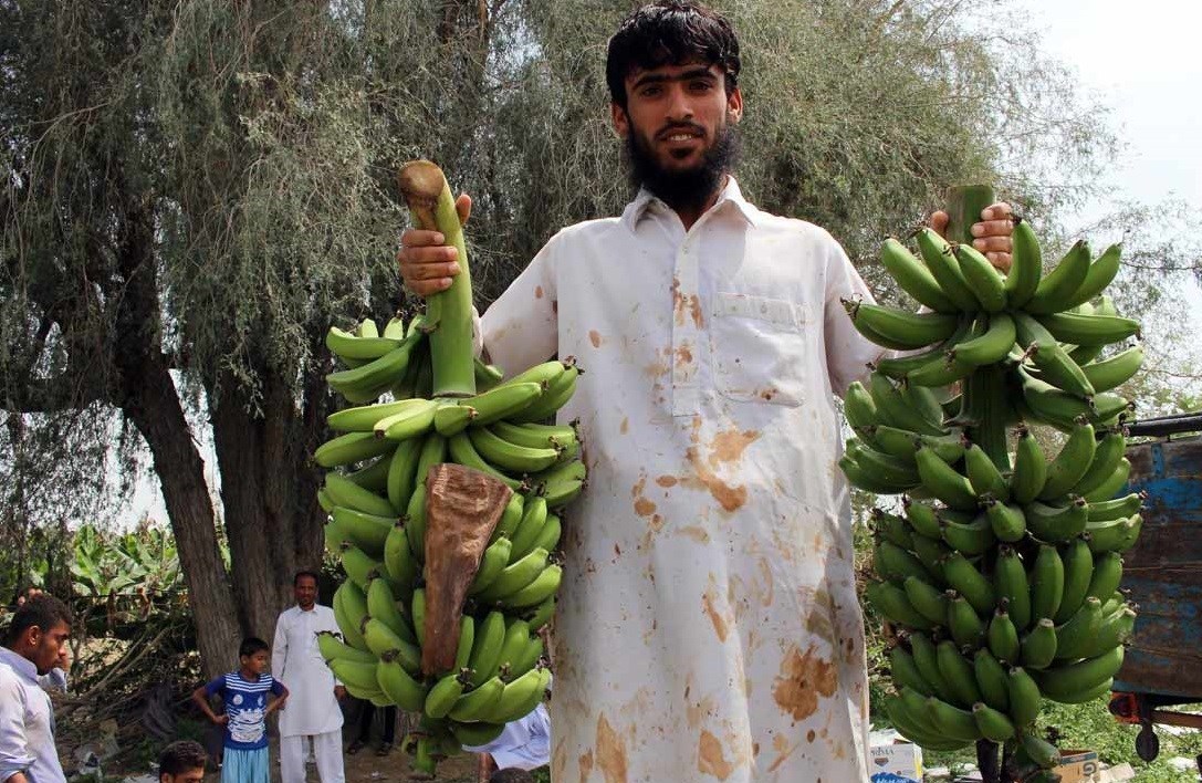 اخبار بلوچستان , 