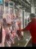 کشتار غیرمجاز جرم است/ بازرسان بهداشت مجاز به پلمب هستند
