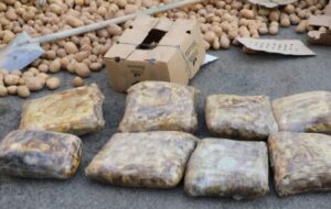 انهدام 12 باند قاچاق مواد مخدر در لرستان/ کشف 9 تن مواد افیونی