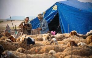 حمایت دولتی از بیمه روستاییان با پرداخت 70 درصد حق بیمه